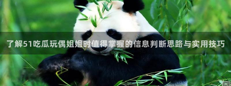 吃瓜爆料免费：了解51吃瓜玩偶姐姐时值得掌握的信息判断思路与实用技巧