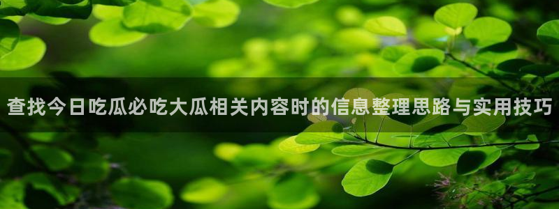 免费吃瓜:查找今日吃瓜必吃大瓜相关内容时的信息整理思路与实用技巧